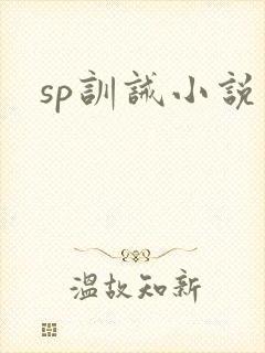 sp训诫小说