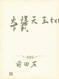 火爆天王txt下载