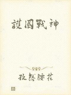 护国战神