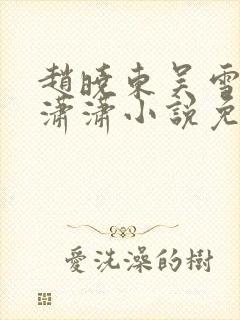 赵晓东吴雪晴王潇潇小说免费阅读