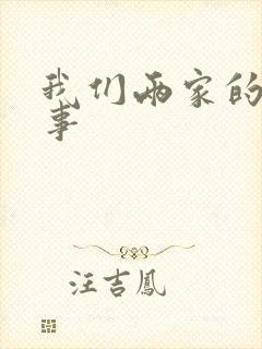我们两家的荒唐事