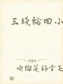 三线轮回小说
