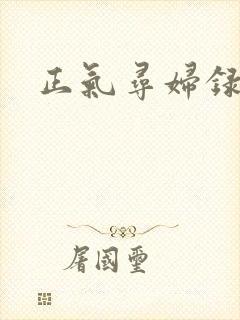 正气寻妇录