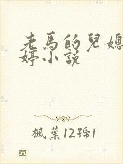 老马的儿媳顾婉婷小说