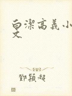 白洁高义小说全文