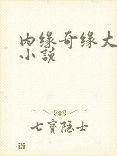 内缘奇缘大团圆小说