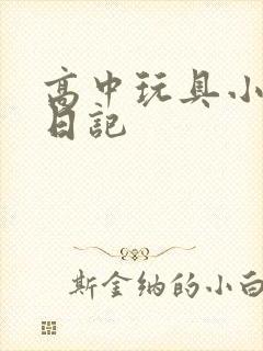 高中玩具小诗的日记