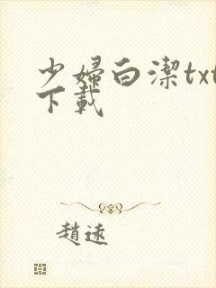 少妇白洁txt下载