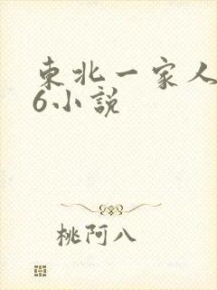 东北一家人1一6小说