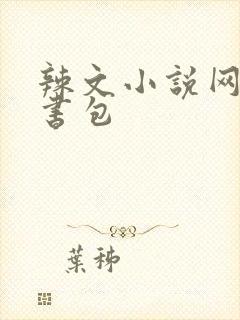 辣文小说网第二书包