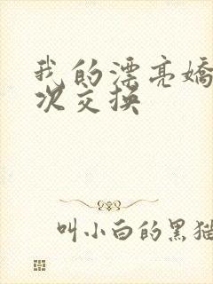 我的漂亮娇妻初次交换