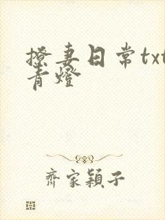撩妻日常txt青灯