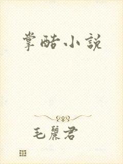 掌酷小说
