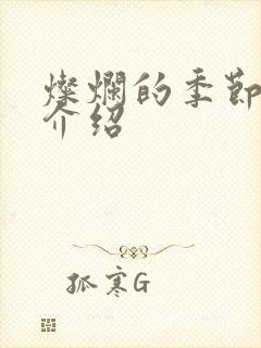 灿烂的季节剧情介绍