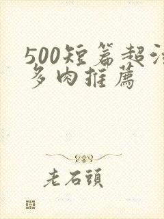 500短篇超污多肉推荐