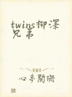 twins柳泽兄弟