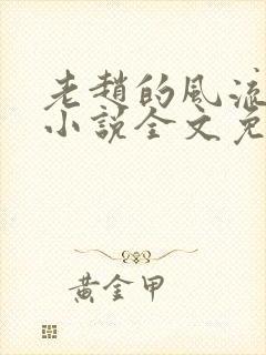 老赵的风流人生小说全文免费阅读