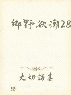 乡野欲潮28章
