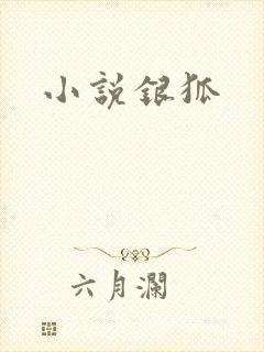 小说银狐