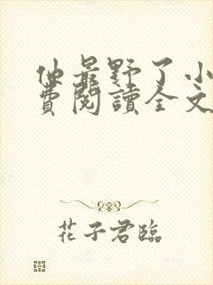 他最野了小说免费阅读全文