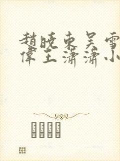 赵晓东吴雪晴郑伟王潇潇小说名字