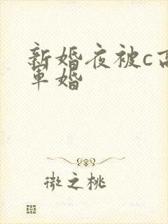 新婚夜被c高h军婚