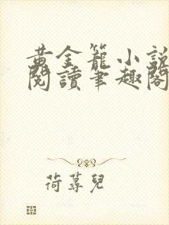 黄金笼小说免费阅读笔趣阁无弹窗