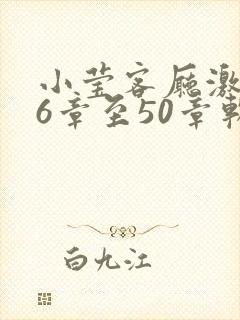 小莹客厅激情46章至50章软件介绍
