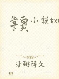 告白小说txt下载