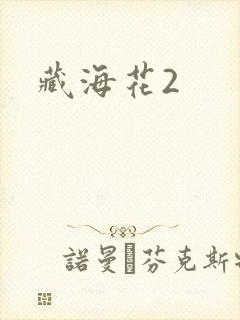 藏海花2