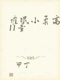 催眠小柔高达第11章