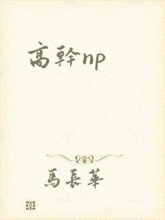 高干np