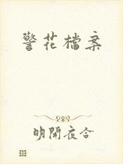 《警花档案》小说封面