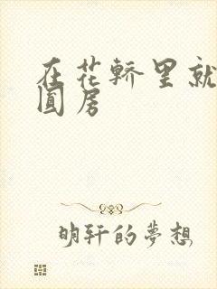 在花轿里就开始圆房