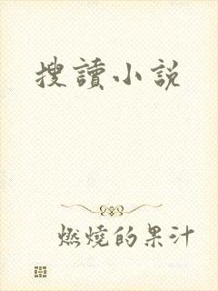 搜读小说