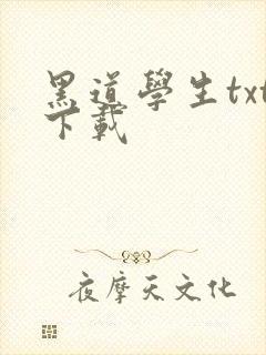 黑道学生txt下载