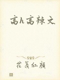 高h高辣文