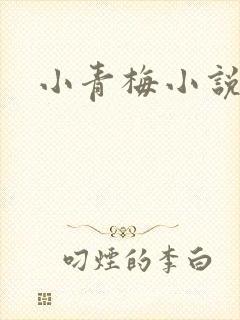 小青梅小说