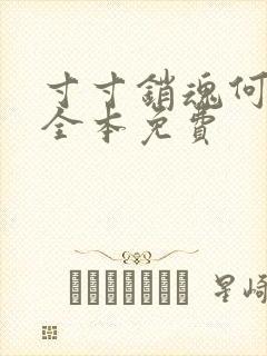 寸寸销魂何生祥全本免费