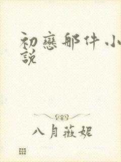 初恋那件小事小说封面