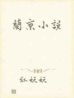 兰京小说