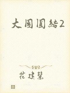 大团圆结2
