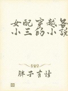 女配穿越各个做小三的小说