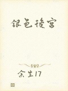 银色后宫