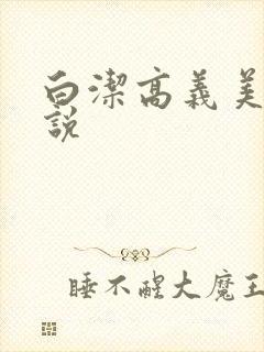 白洁高义美红小说