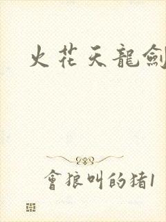火花天龙剑