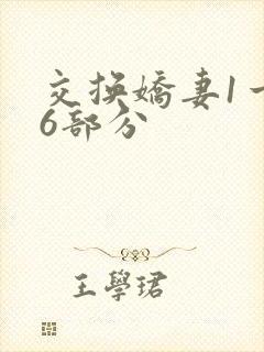 交换娇妻1一36部分