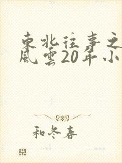 东北往事之黑道风云20年小说