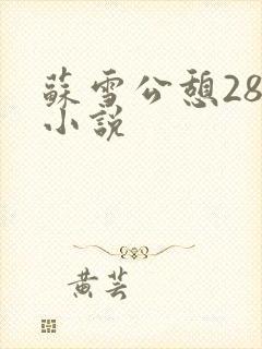 苏雪公憩28篇小说