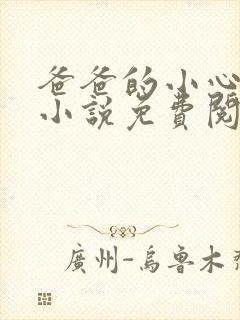 爸爸的小心肝儿小说免费阅读